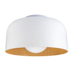 Coscona - Simple Metal Ceiling Lamp