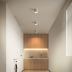 Bela LED Plafondlamp | 360° Verstelbare Lichtkop, Modern Ontwerp