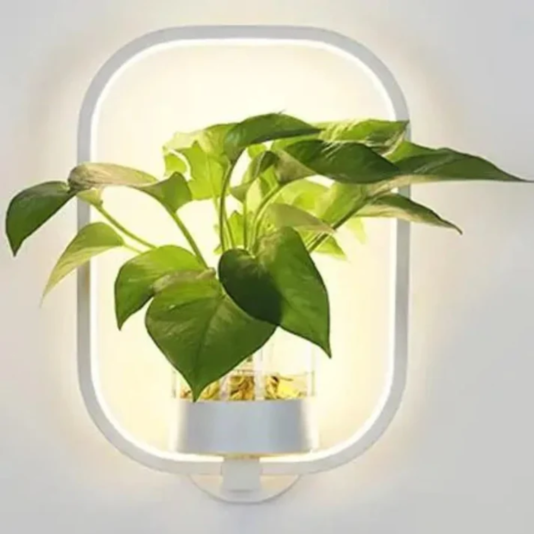 Vyssa - Luxury LED Wall Lamp