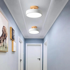 Soreia - Compact Modern LED Ceiling Light