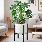 Bela Adjustable Metal Plant Stand | Rust-Resistant, Dual Height