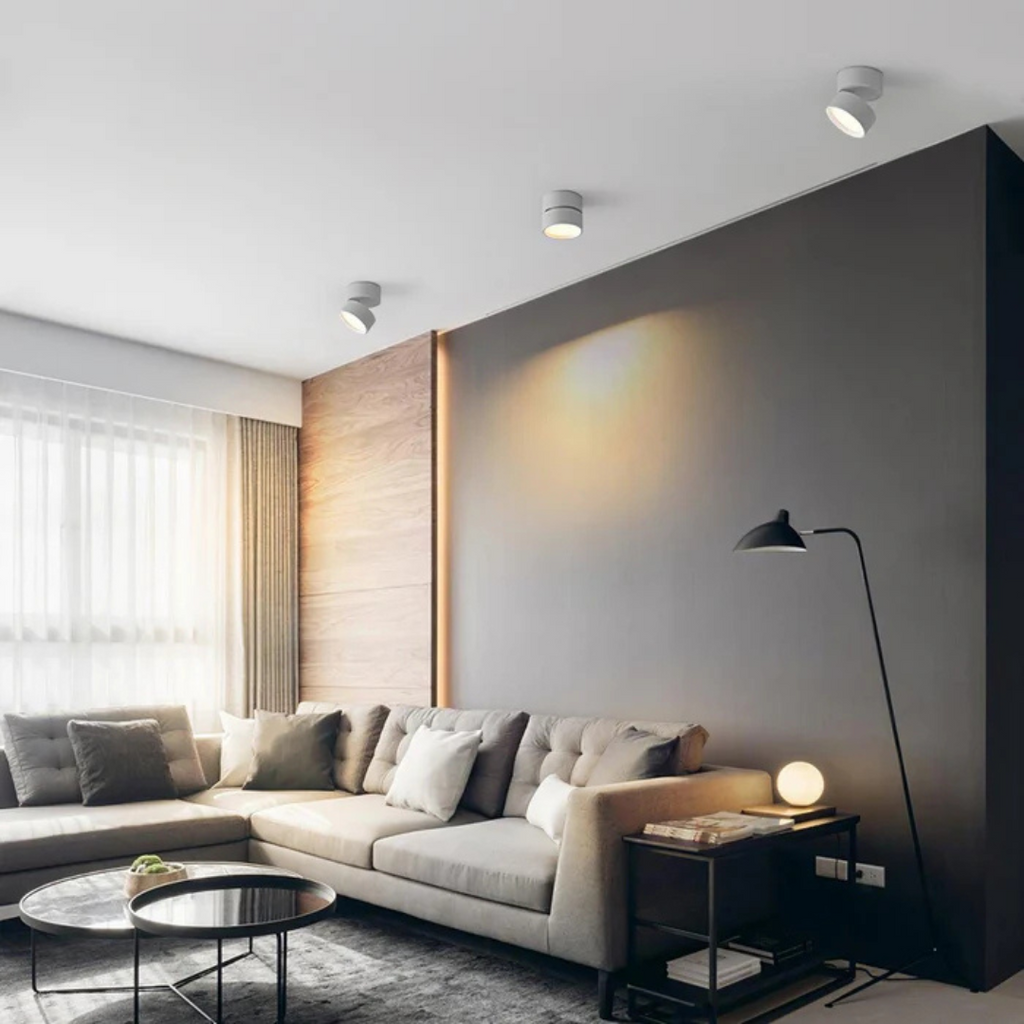 Bela LED Plafondlamp | 360° Verstelbare Lichtkop, Modern Ontwerp