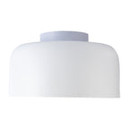 Coscona - Simple Metal Ceiling Lamp