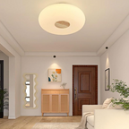Tapion - Modern LED Ceiling Light
