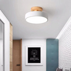 Soreia - Compact Modern LED Ceiling Light