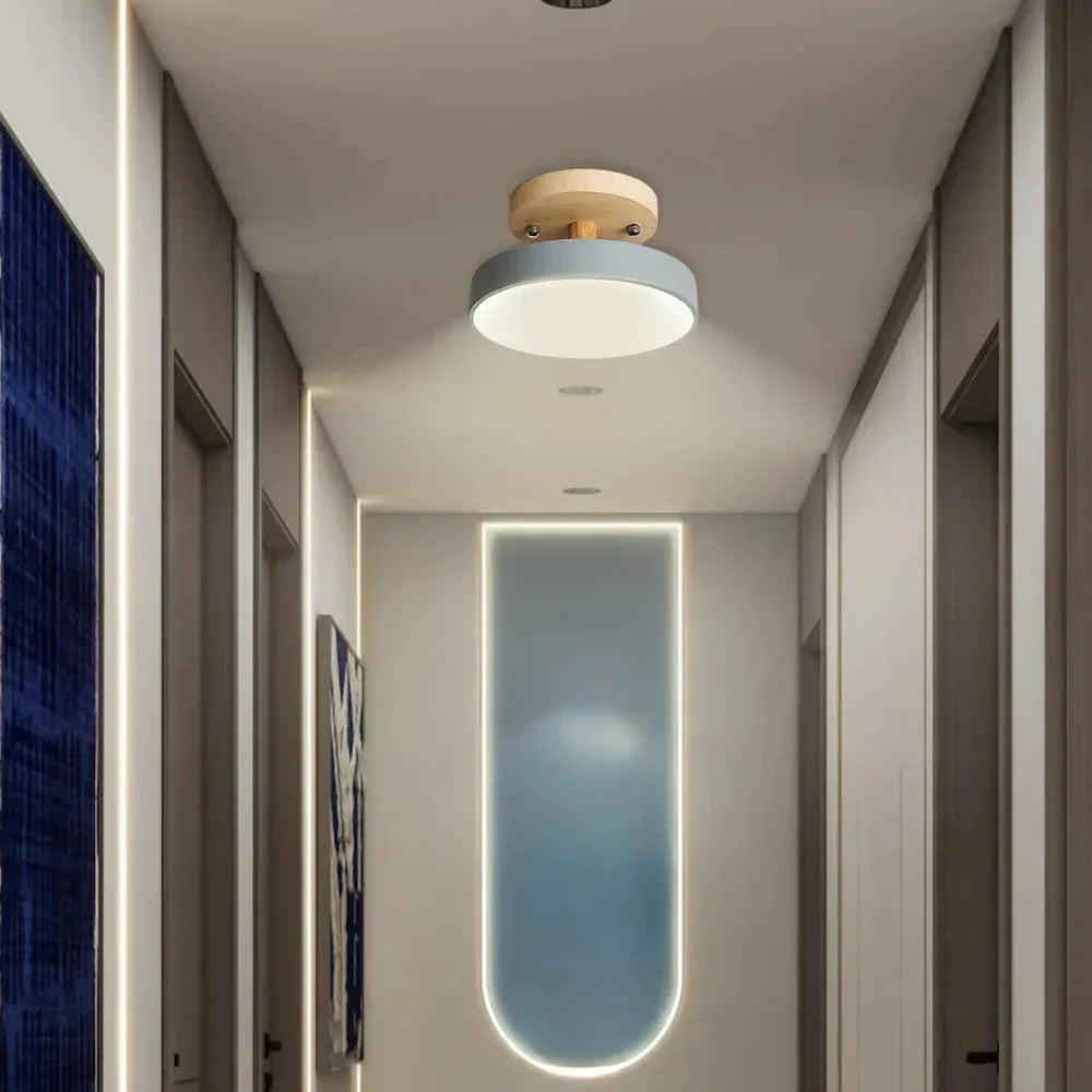 Soreia - Compact Modern LED Ceiling Light