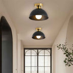 Bela Semi-Flush Ceiling Lamp | Matte Metal, Compact Design