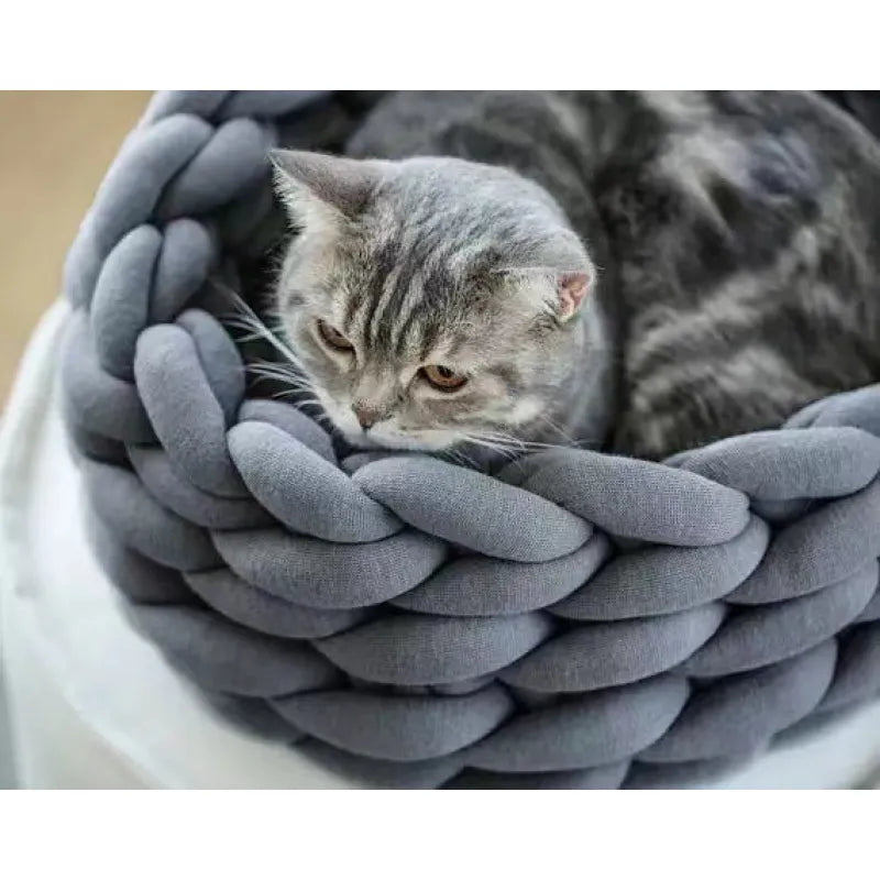 Bello Honden- & Kattenmand | 100% Natuurlijke Wol, Machinewasbaar