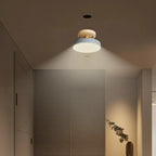 Soreia - Compact Modern LED Ceiling Light
