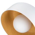 Coscona - Simple Metal Ceiling Lamp
