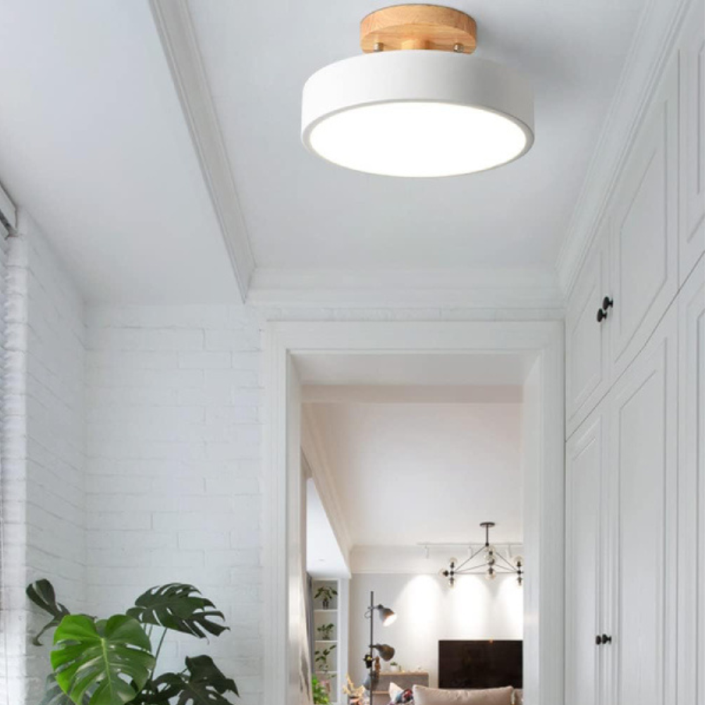 Soreia - Compact Modern LED Ceiling Light