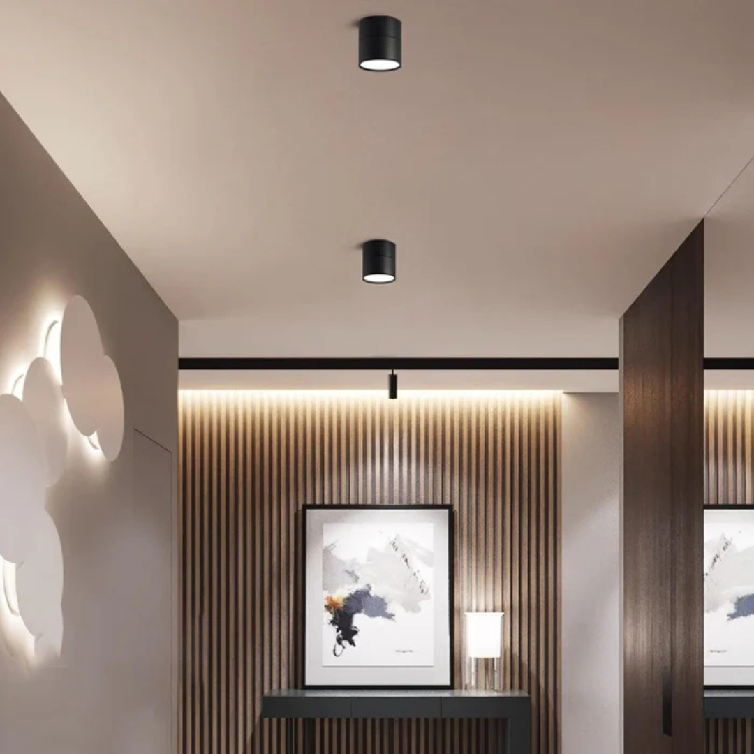 Bela LED Plafondlamp | 360° Verstelbare Lichtkop, Modern Ontwerp