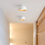 Coscona - Simple Metal Ceiling Lamp