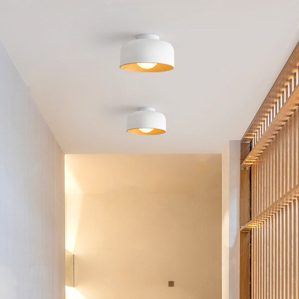 Coscona - Simple Metal Ceiling Lamp