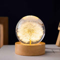 Bela 3D Bloemenlamp | Hoogwaardige Hars, Warm Sfeerlicht