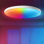 Smart LED Ceiling Light, 24W, RGB White Warm White, Surface Mounted