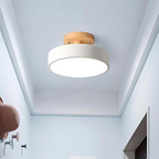 Soreia - Compact Modern LED Ceiling Light