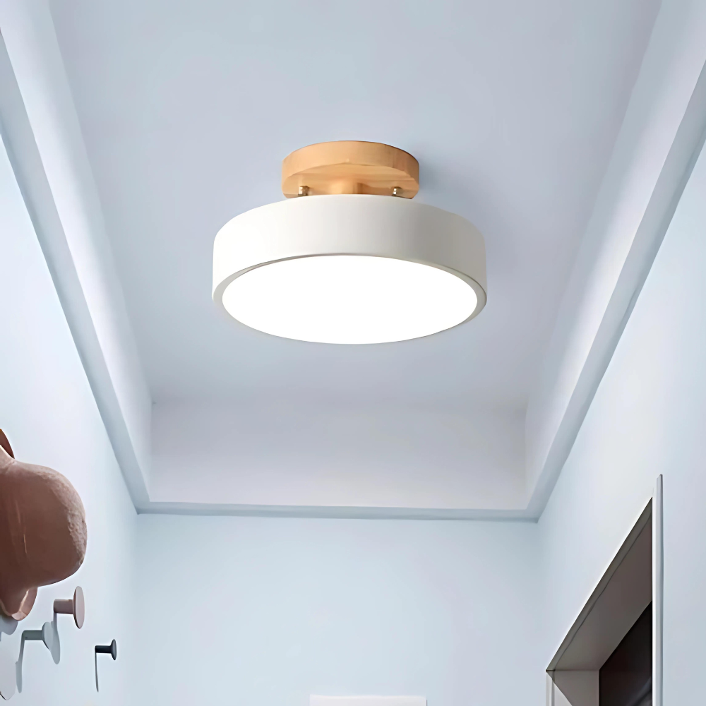 Soreia - Compact Modern LED Ceiling Light