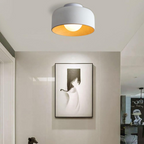 Coscona - Simple Metal Ceiling Lamp