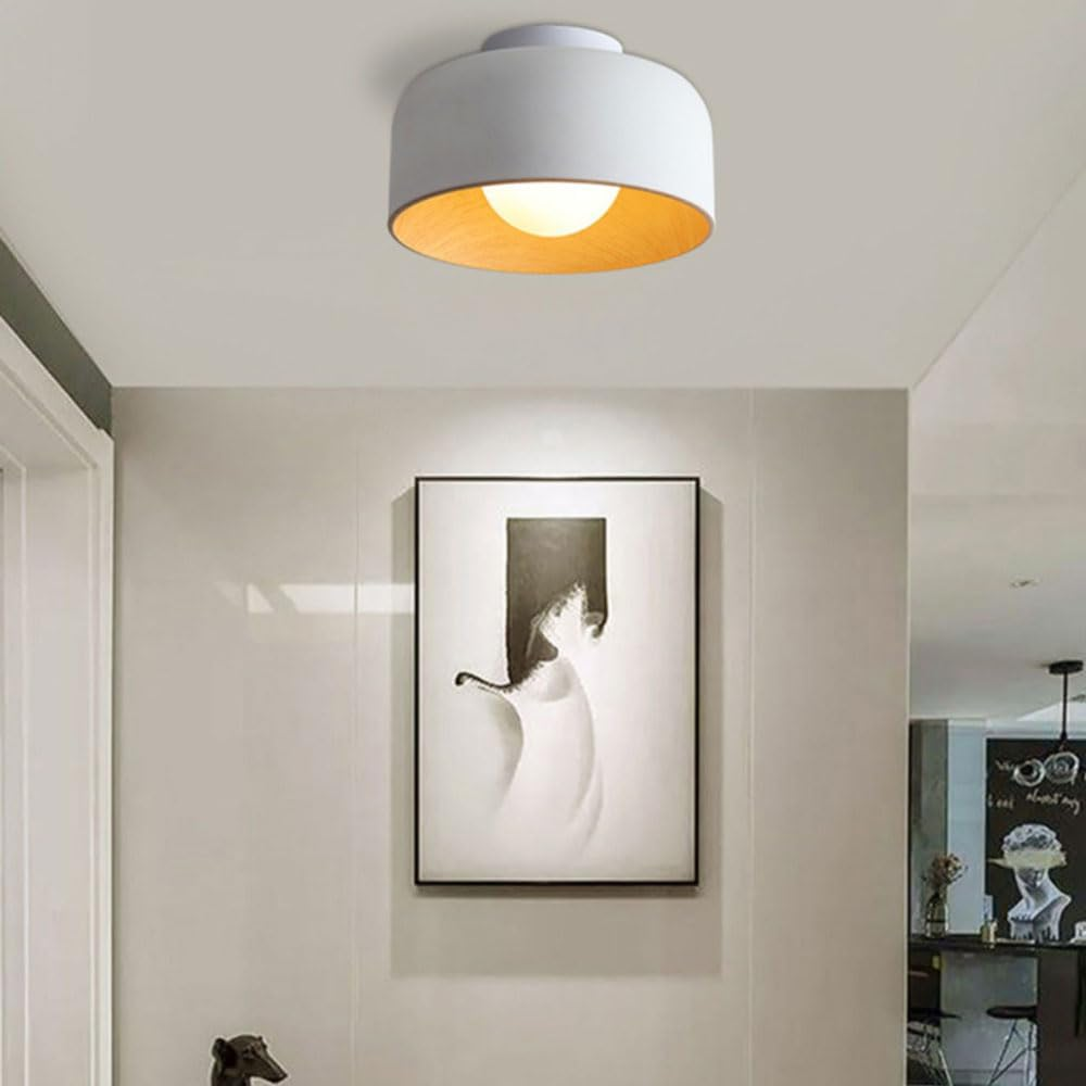 Coscona - Simple Metal Ceiling Lamp