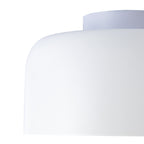 Coscona - Simple Metal Ceiling Lamp