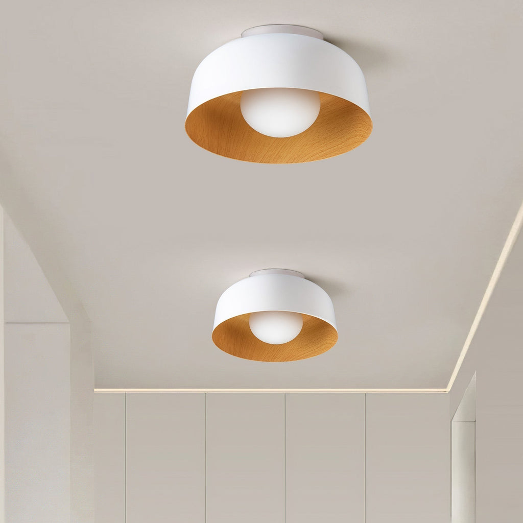 Coscona - Simple Metal Ceiling Lamp