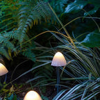 Bello Solar Tuinverlichting | 12 Paddenstoelen, Warmwit LED, IP65