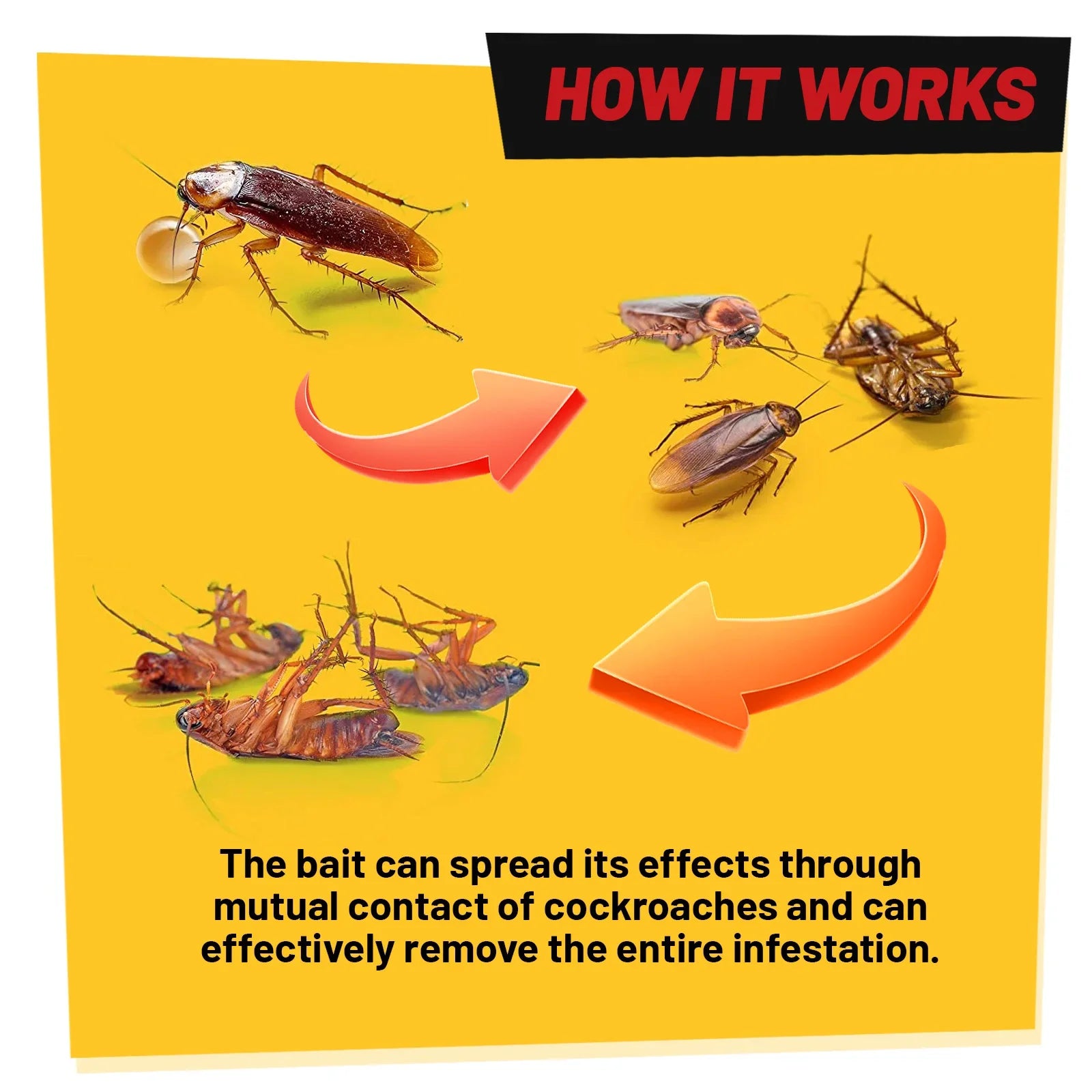 Erovanix – Natural Cockroach Gel Without Poison for Indoor Use