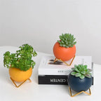 Cleo Ceramic Plant Pot | Modern Design with Steel Stand