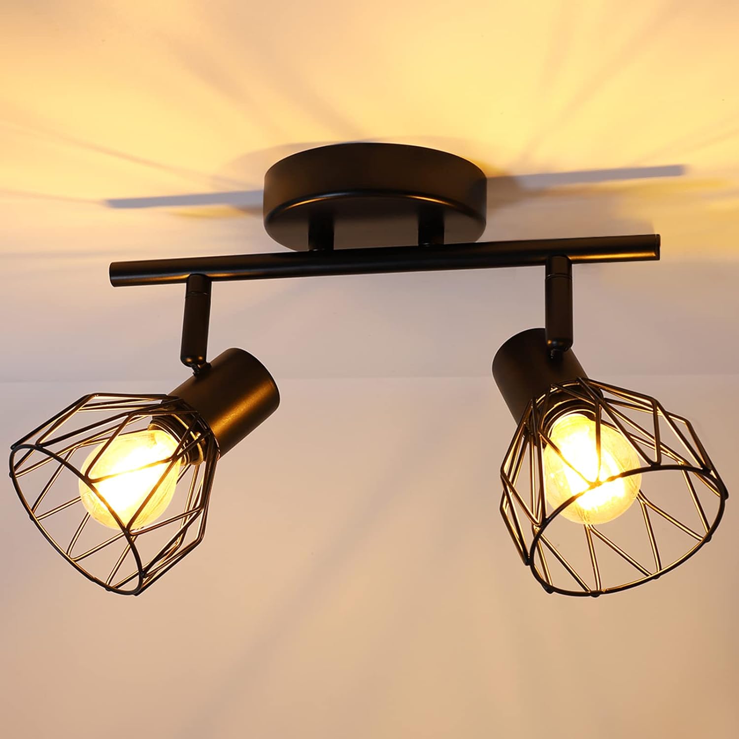 Adjustable Spotlight Fixture Black Metal Wire Cage Ceiling Wall Mount