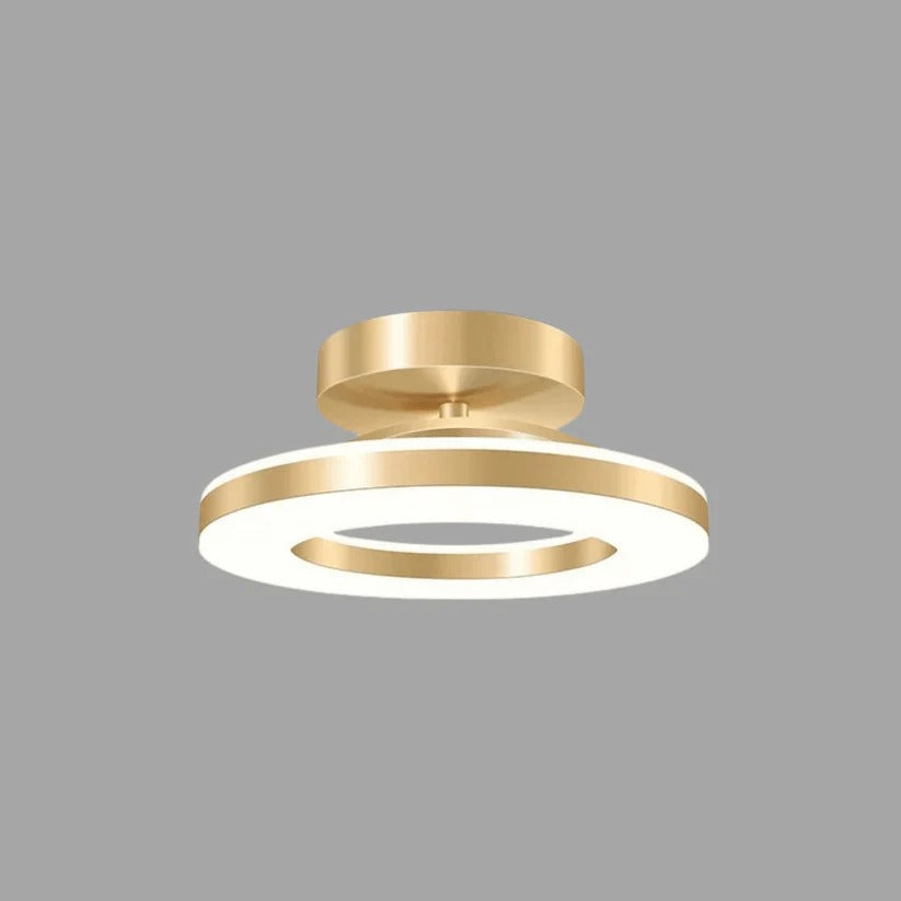 Adjustable Round LED Ceiling Light Fixture – Flush Mount, Multiple Color Settings, Sleek Design for Home Lighting