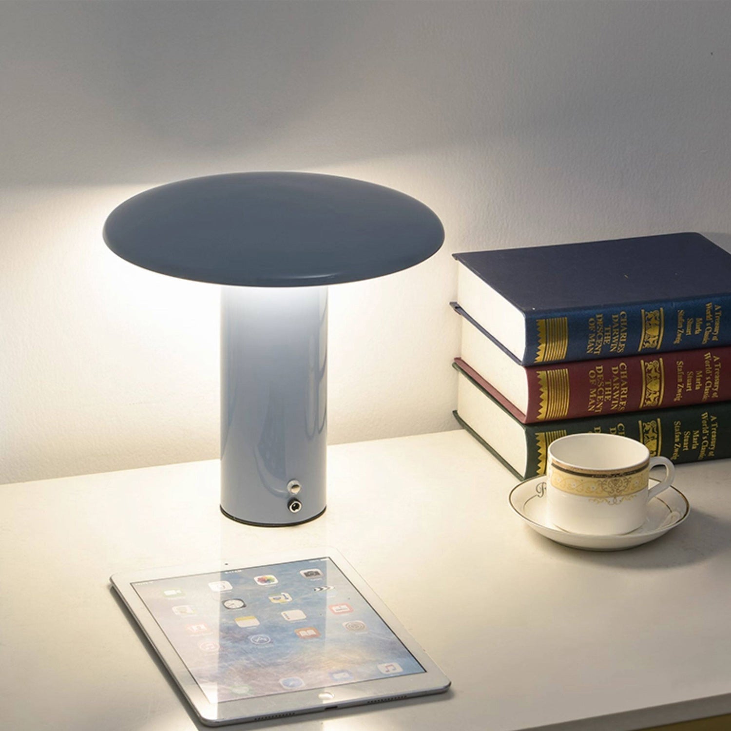 Aeloy Cordless Portable LED Table Lamp