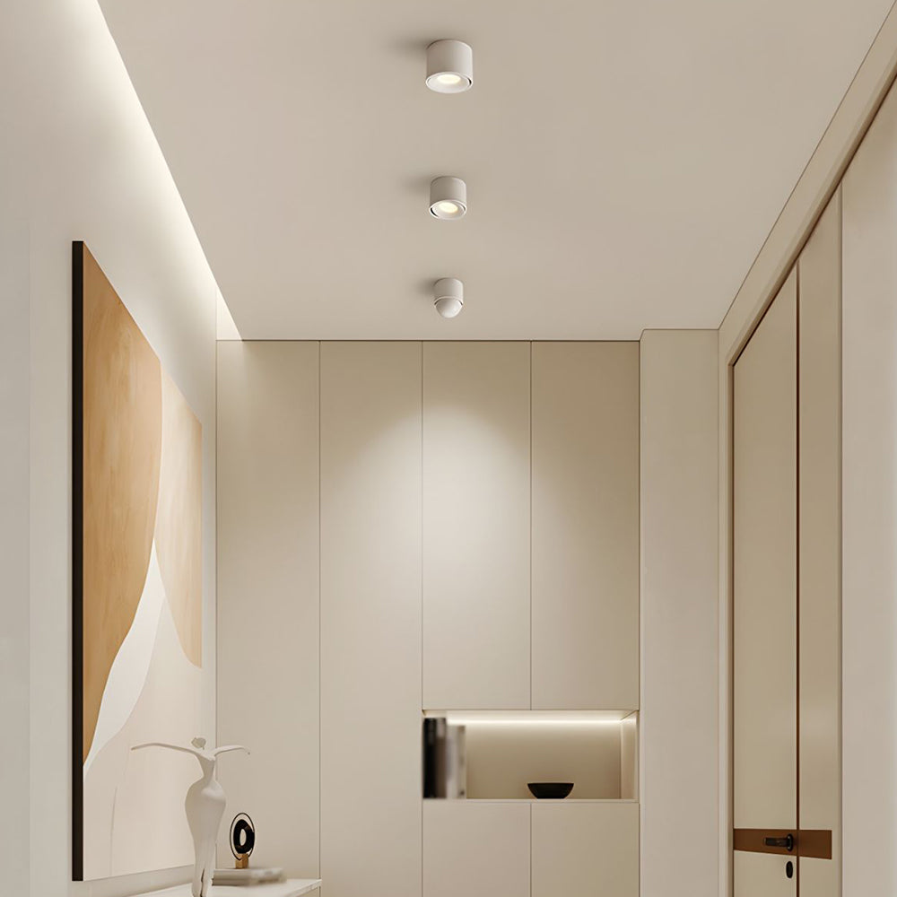 Aluminum LED Ceiling Light, 30° Adjustable Tilt, 7W–12W Options