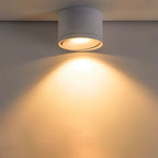 Aluminum LED Ceiling Light, 30° Adjustable Tilt, 7W–12W Options