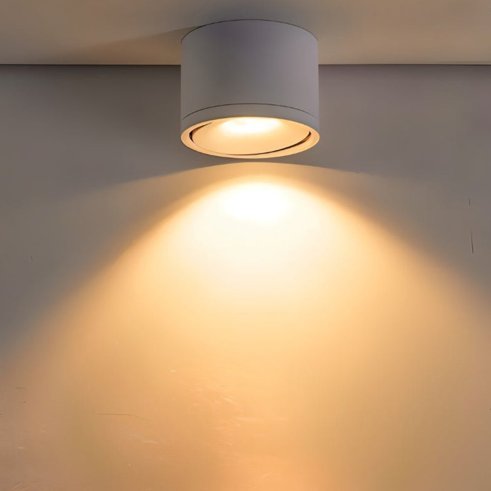 Aluminum LED Ceiling Light, 30° Adjustable Tilt, 7W–12W Options