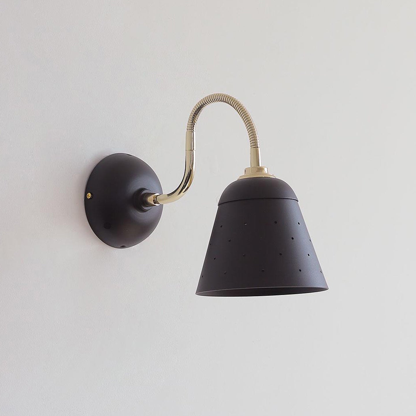 Alva Perforated Gooseneck Wall Sconce