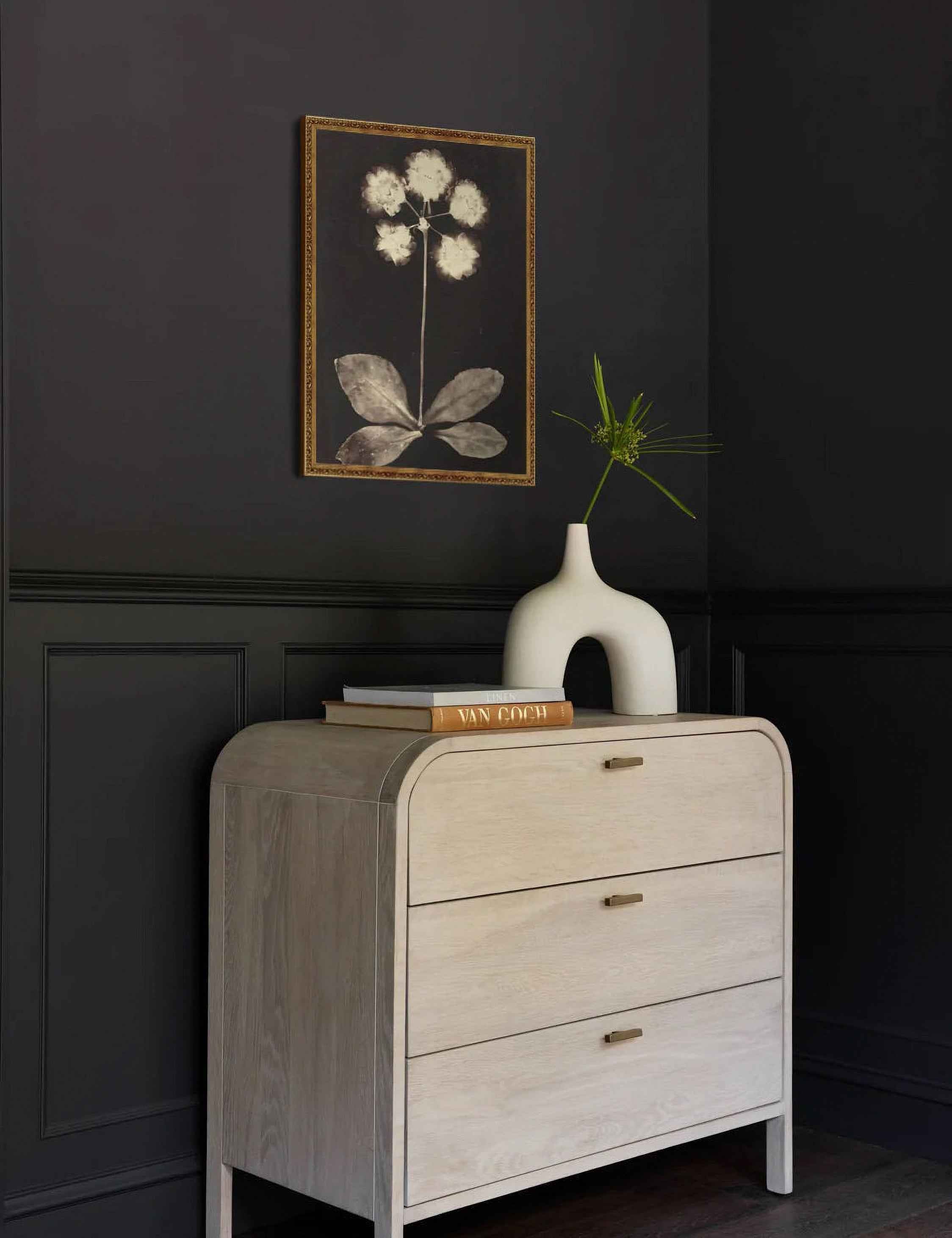 Botanical Photogram Print
