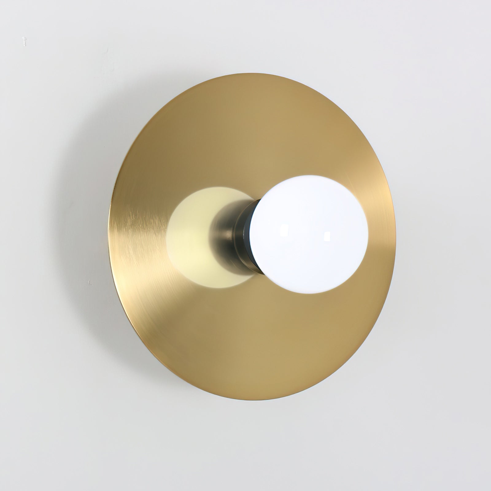Areti Round Disk Wall & Ceiling Light