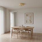 Art Deco Vintage Round Glass Ceiling Light 1-Light