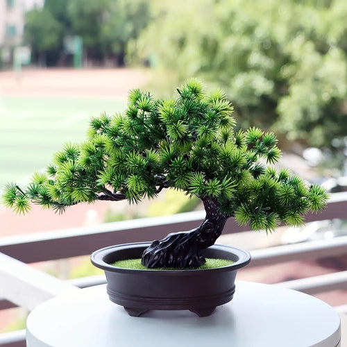 Artificial Bonsai Plant, Faux Foliage, Black Display Pot, Indoor Decor