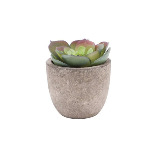Artificial Succulent Plant PVC Potted Decorative Greenery