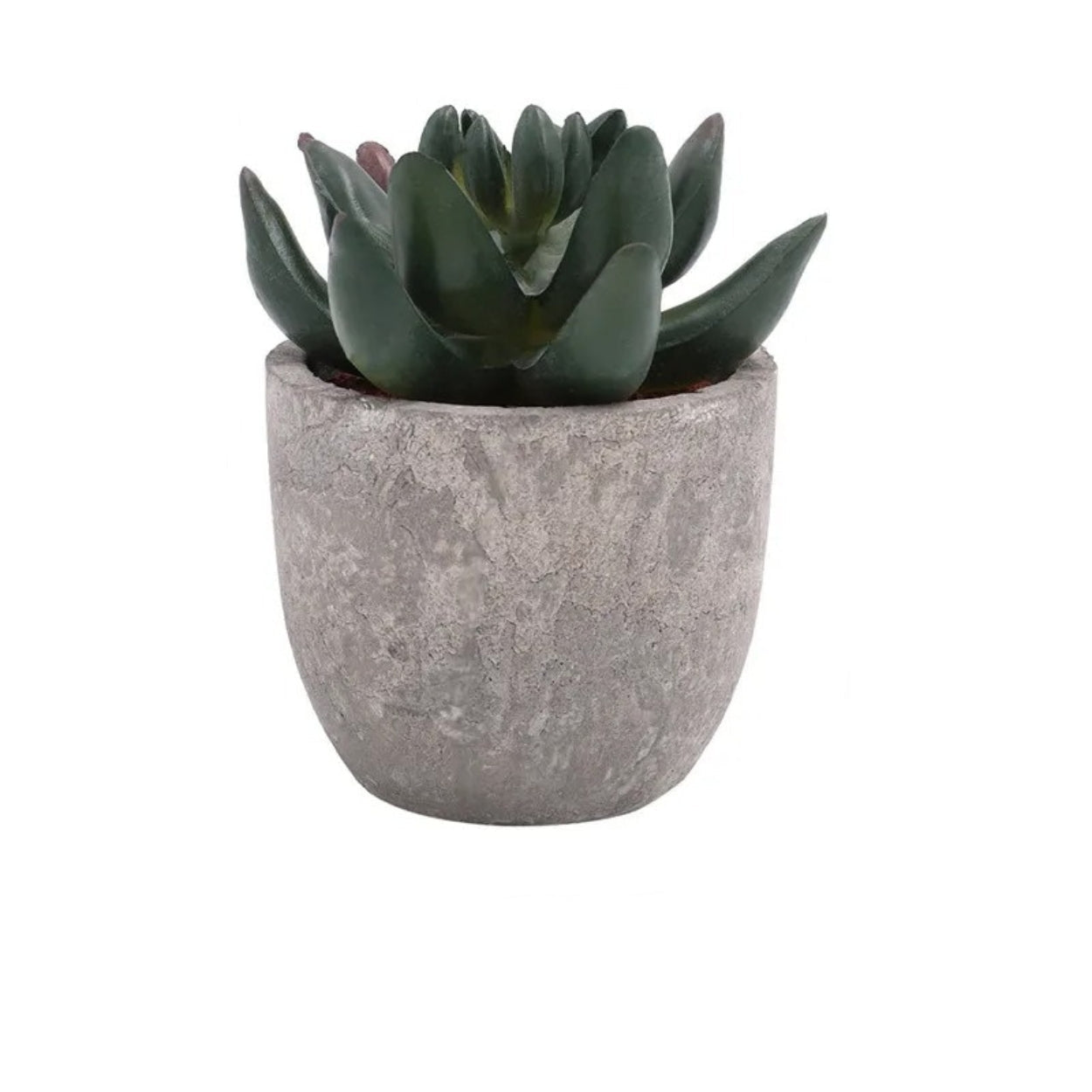 Artificial Succulent Plant PVC Potted Decorative Greenery