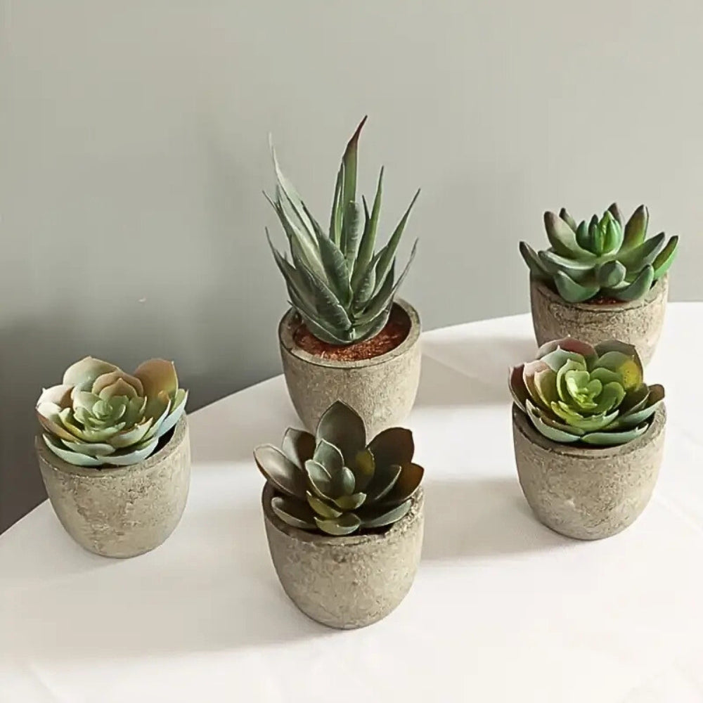 Artificial Succulent Plant PVC Potted Decorative Greenery