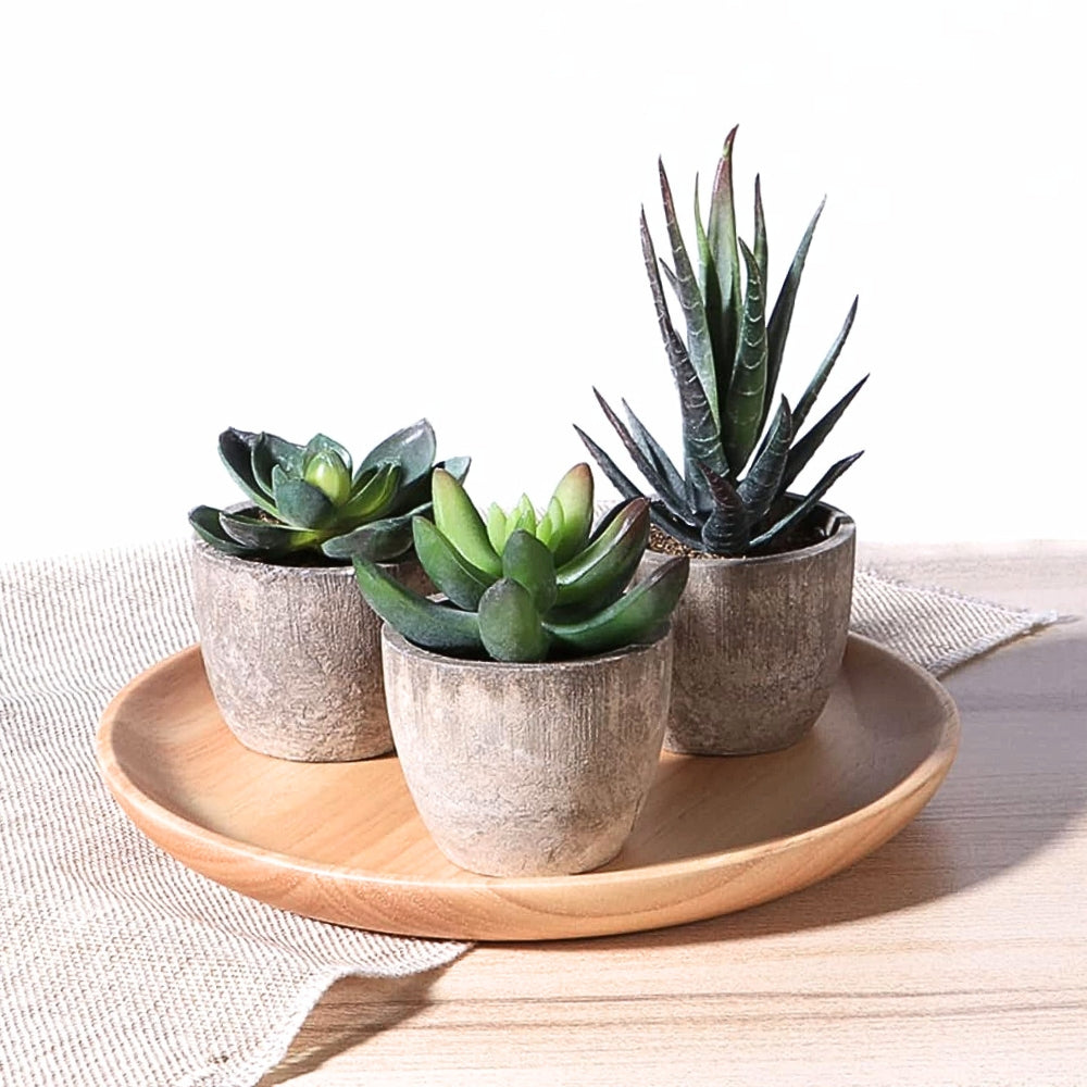 Artificial Succulent Plant PVC Potted Decorative Greenery