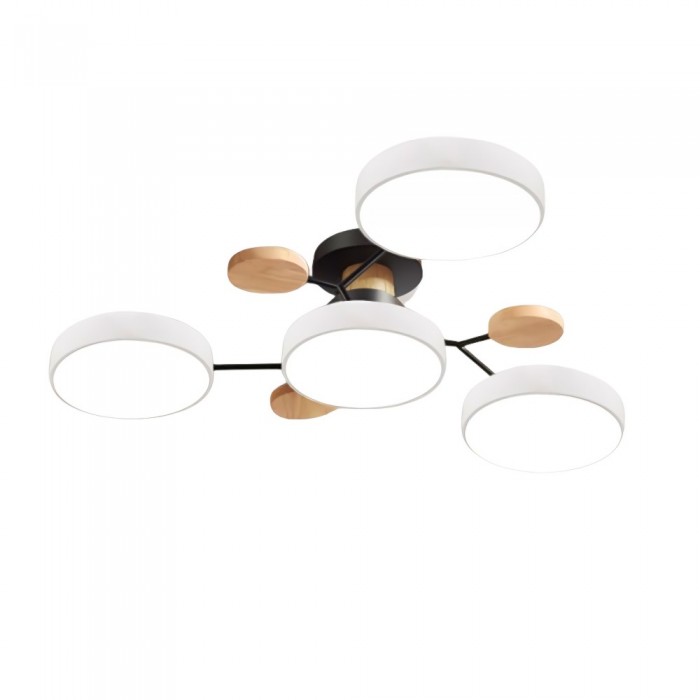 AstroLight: Modern LED Ceiling Light with Organic Design and Round Light Discs