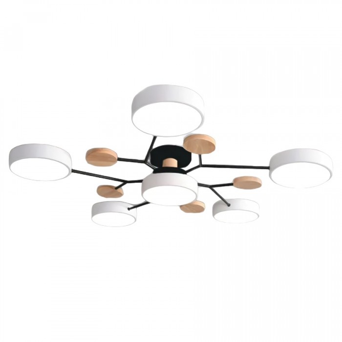 AstroLight: Modern LED Ceiling Light with Organic Design and Round Light Discs