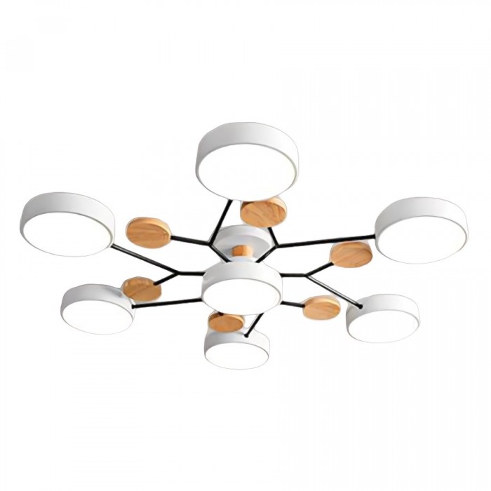 AstroLight: Modern LED Ceiling Light with Organic Design and Round Light Discs