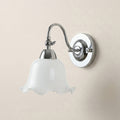Auray Adjustable Gooseneck Wall Light