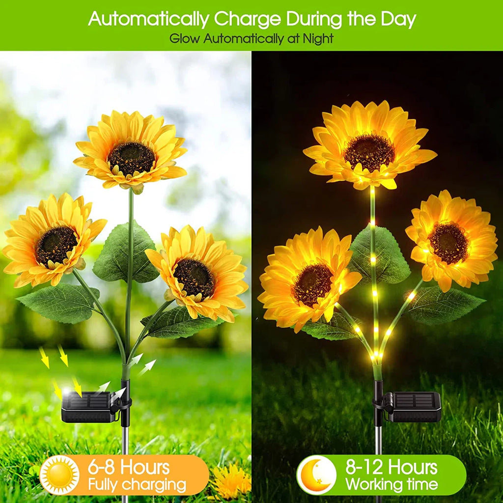 Auriene Solar Garden Path Lights – IP65 LED Garden Lamps (Set of 3)
