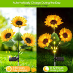 Auriene Solar Garden Path Lights – IP65 LED Garden Lamps (Set of 3)
